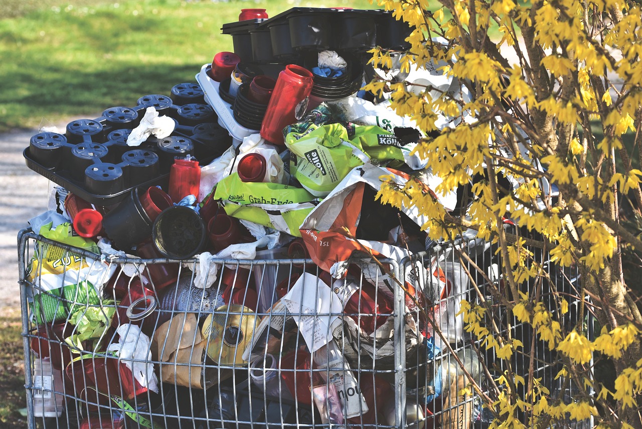 How to Properly Dispose of Old Paints and Chemicals